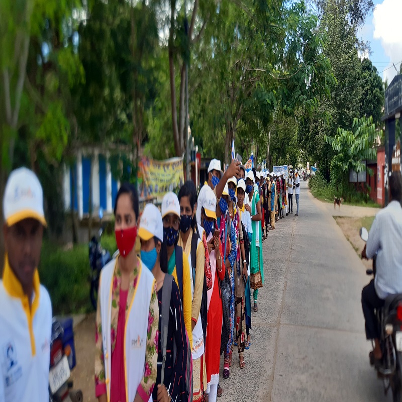 Tree Plantation Drive